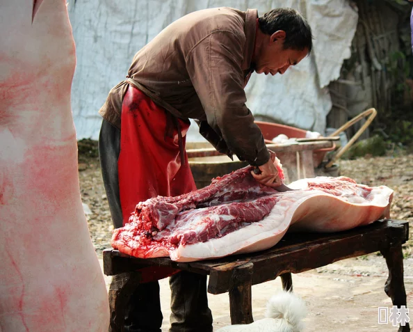 农村杀猪匠巧手分割鲜肉熏制腊肉肥臀粗大引岳母赞叹不已