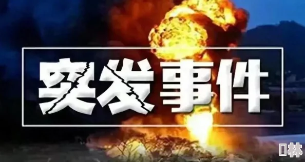 世界平民玩家必看爆料：2023最新顶级阵容搭配揭秘与最强组合深度解析