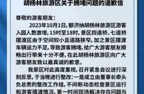 亚洲va为什么拥有丰富的经验积累提供专业支持从而广受欢迎