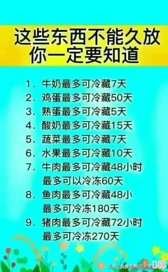 2024全新爆料！忍者必须死3忍阶段位大全及排序深度分析，助你快速进阶高手行列！