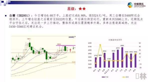 日本xxxx69为什么经久不衰因为它不断创新的精神和对观众需求的精准把握