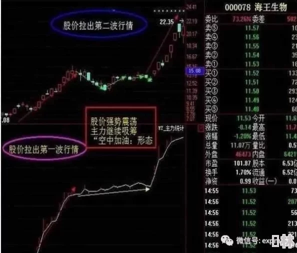 原神最新版本闲云配队爆料：最强组合搭配与实战技巧深度解析