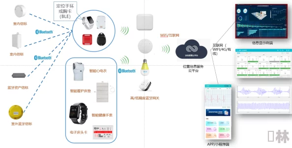 银发族智能穿戴健康管理系统上线