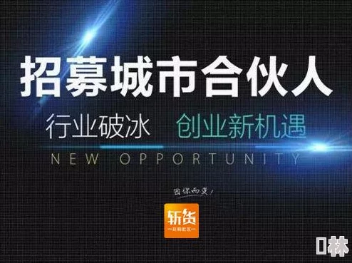 金牌合伙人速盈秘诀：揭秘最新赚钱攻略，成功案例内幕大爆料！