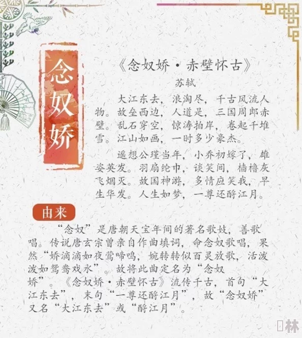 念奴娇小说文笔细腻，剧情引人入胜，值得一读