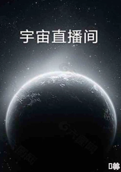 黄色小说全文2025元宇宙恋爱指南限量珍藏版