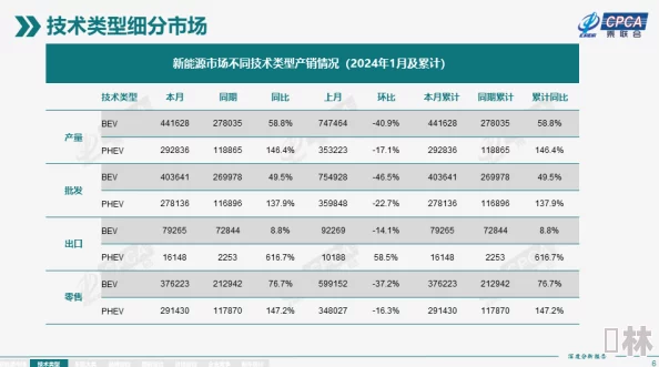 率土之滨拆迁队阵容深度剖析：2023最新效果评估与顶级搭配爆料