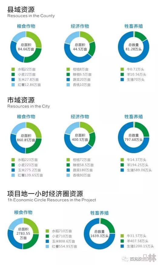 揭秘：提升城市人口与高效获取良田资源策略及最新政策动态