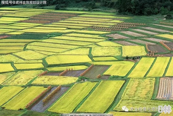 揭秘：提升城市人口与高效获取良田资源策略及最新政策动态