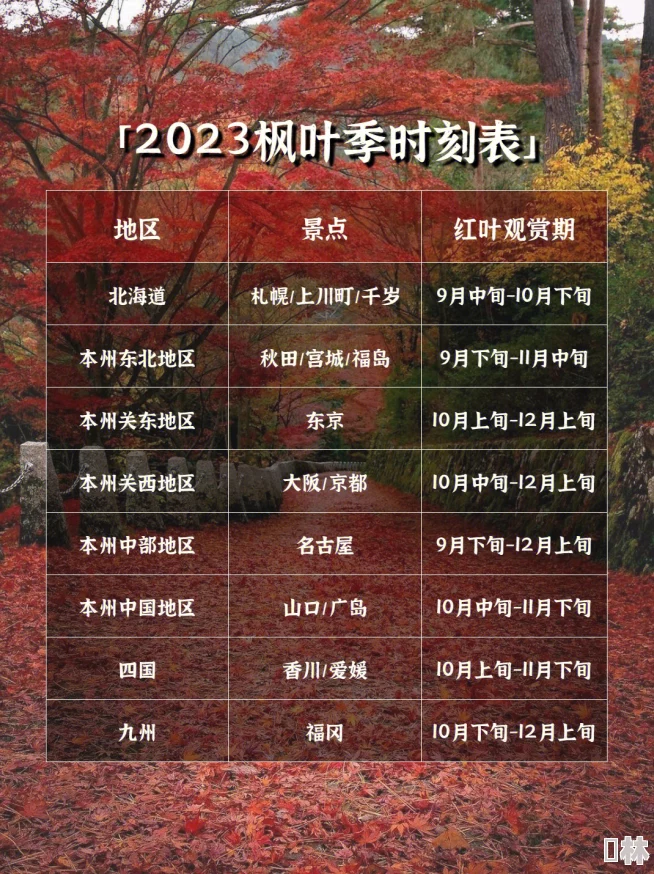 枫叶岛装备洗练词条选择与2023最新高效洗练攻略全面深度解析