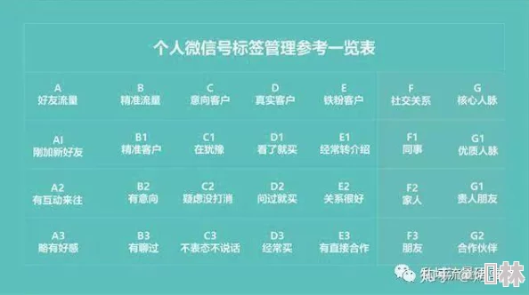 心动小镇攻略：实用技巧分享与高效发展指南