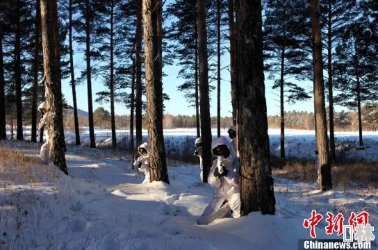 极寒求生：顶级雪地生存游戏推荐与盘点